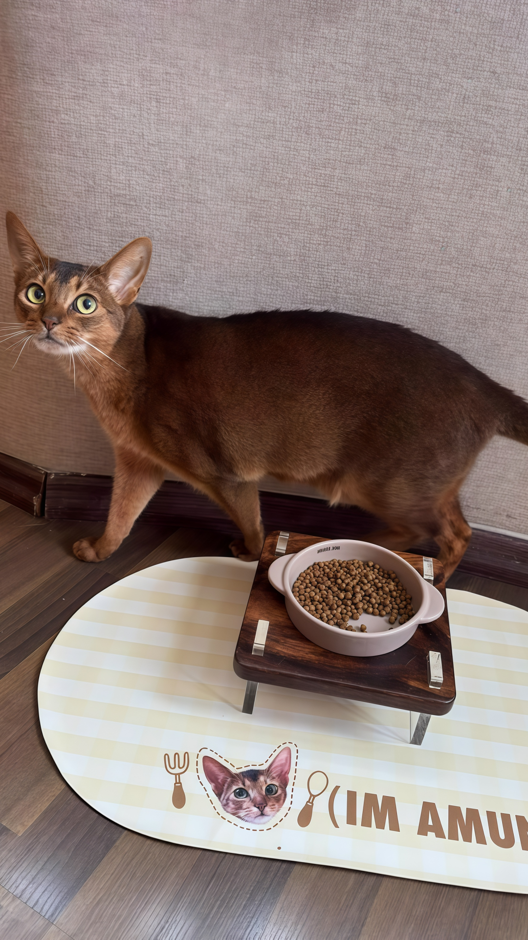 29bdbede4b5aa4d29a6c3c7268126de5