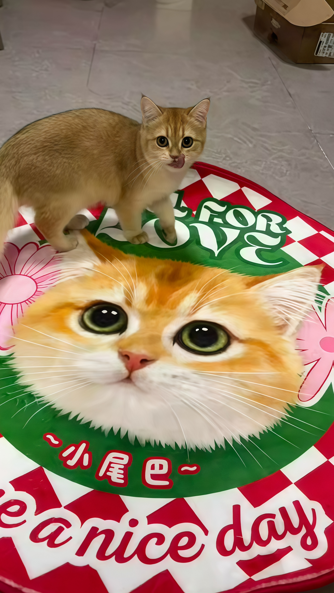 2ee1c984d103c4362edfaf5b59950f75