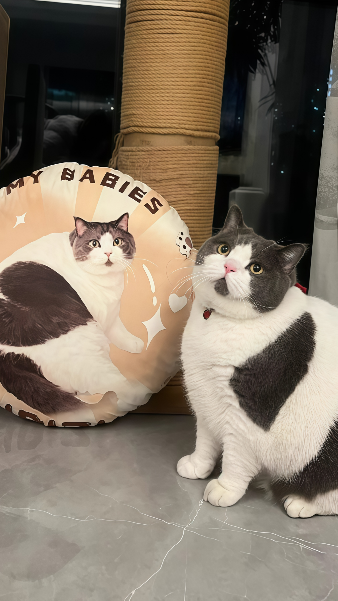 6cabdbb9841be066ac8da679e613b0df