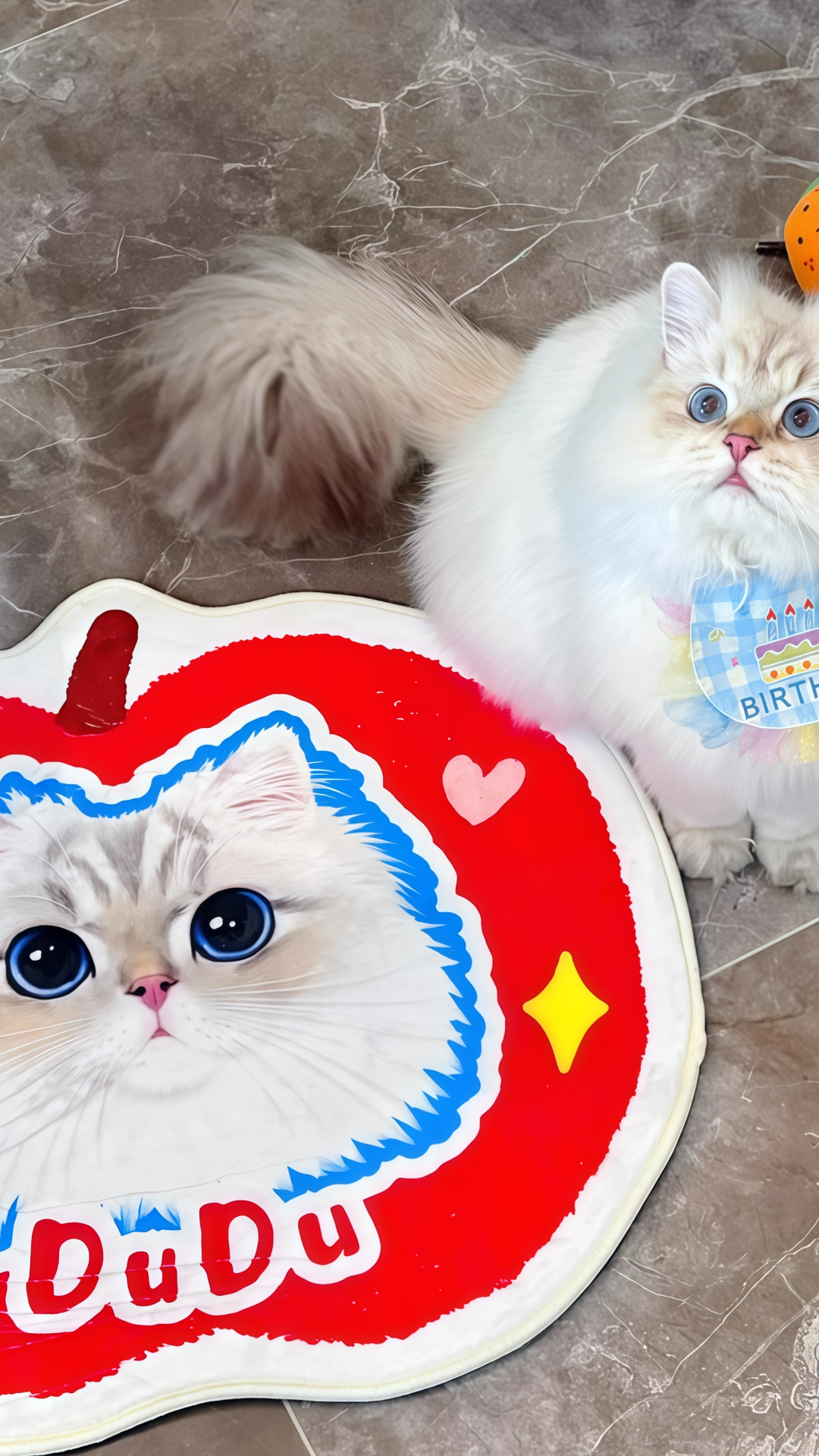 77df356fb2823fbfad73635def51fcd8