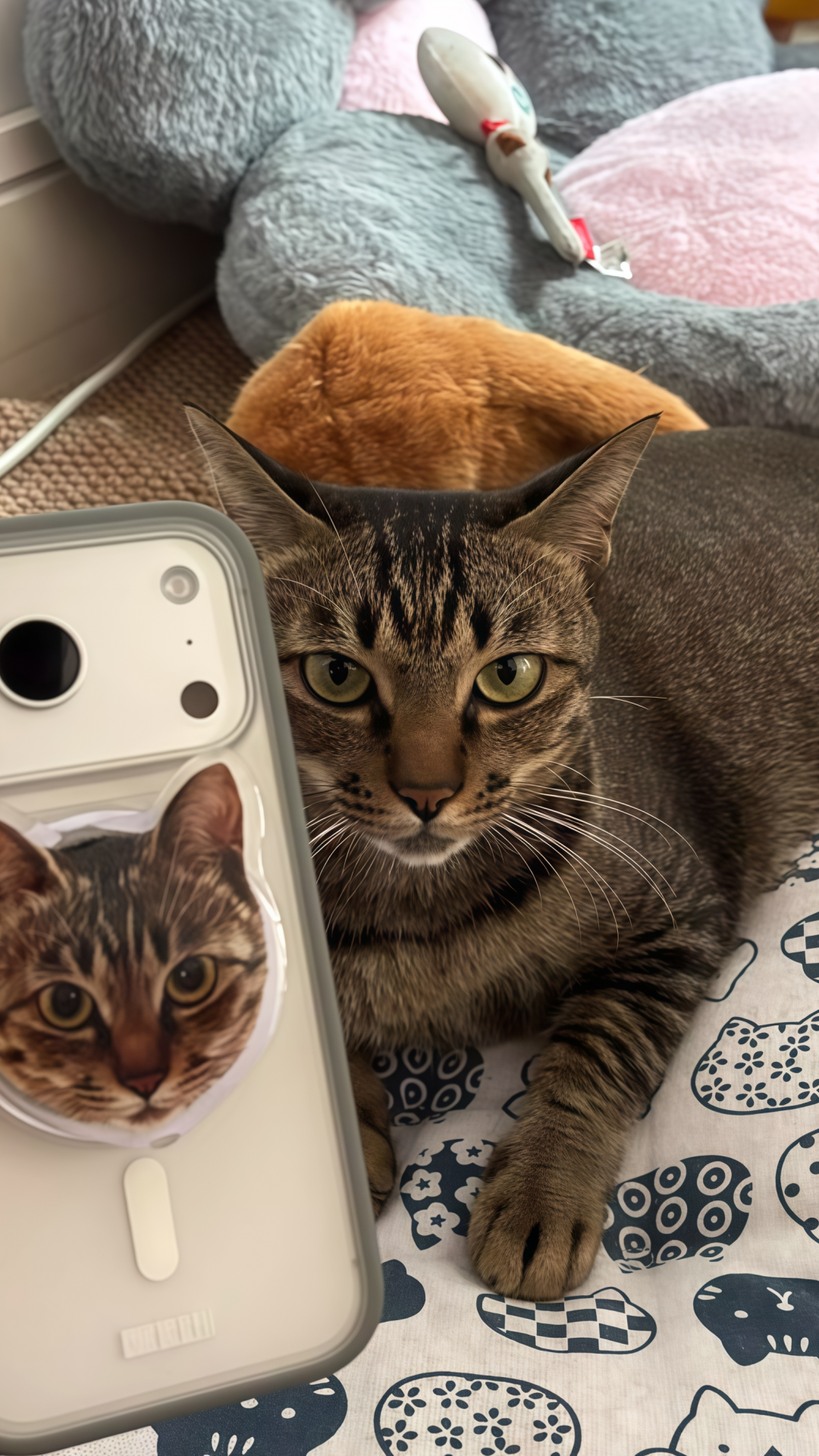 86b92db0bef870cdb869b7dcf081b03e